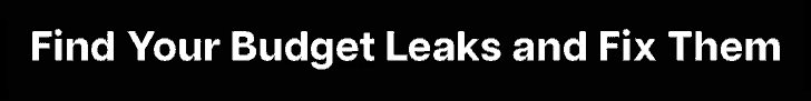 Find your Budget Leaks and Fix Them. Free Concept Testing Program Audit, from Socratic Technologies