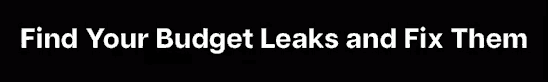 Find your Budget Leaks and Fix Them. Free Concept Testing Program Audit, from Socratic Technologies